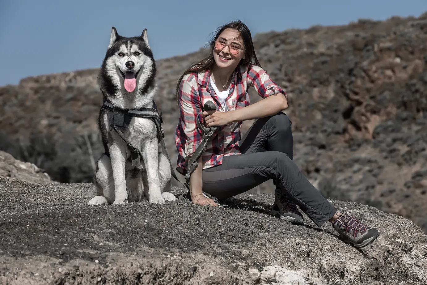 viajar en autocaravana con tu perro